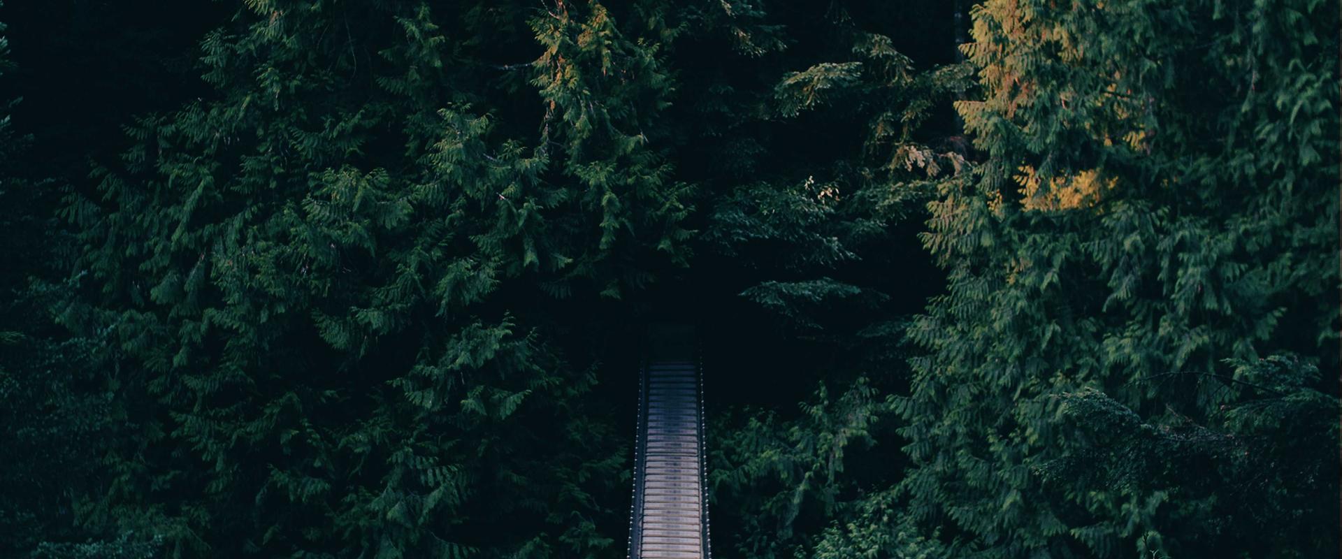 Membangun Karakter,
Menanamkan Adab